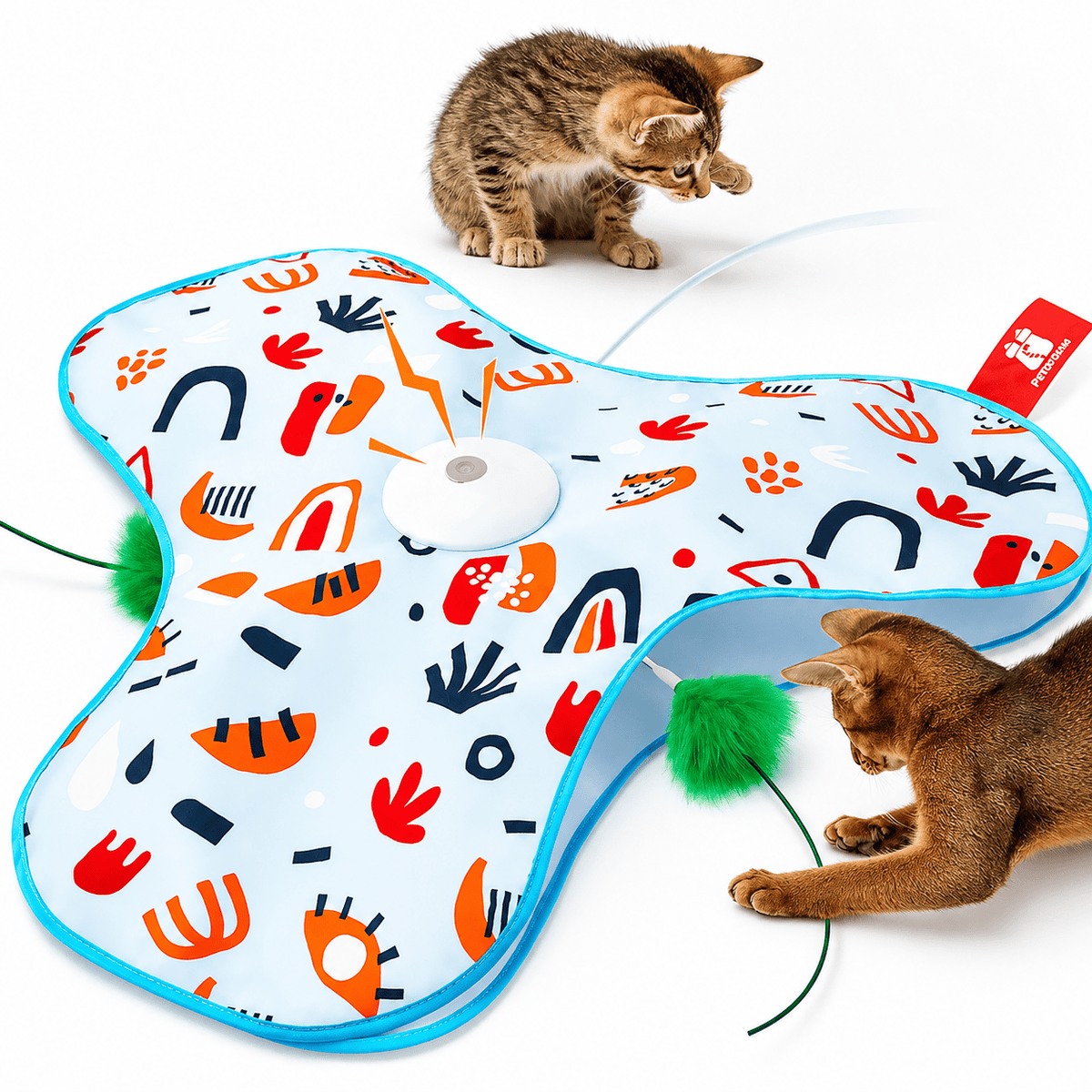 Star-shaped cat play mat in the Floral print, white with colourful shapes and a blue edge, with the green feather poking out of an opening and a tabby kitten pouncing on it