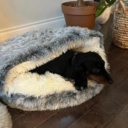 Long haired dachshund burrowed under the folded back hood of the Noblias calming cave pet bed.