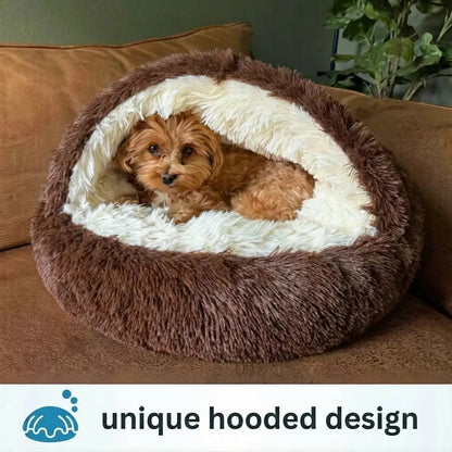 Small brown dog lying inside the coffee Noblias hooded cave pet bed under the raised plush hood.
