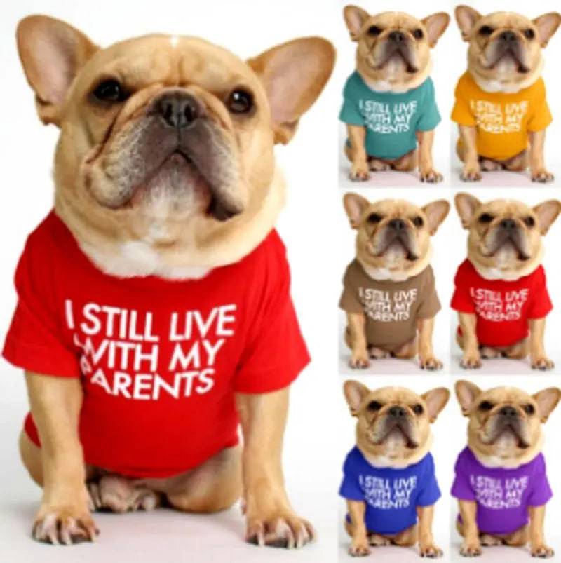French Bulldog in the red I Still Live With My Parents dog shirt beside a collage of the same tee in six other colors