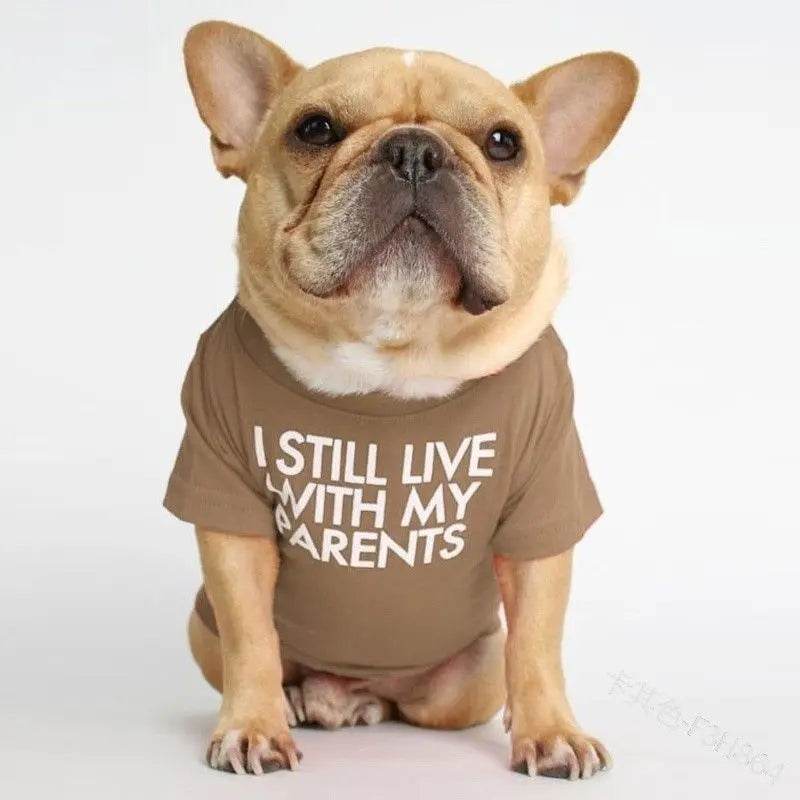 French Bulldog sitting in the khaki I Still Live With My Parents dog shirt