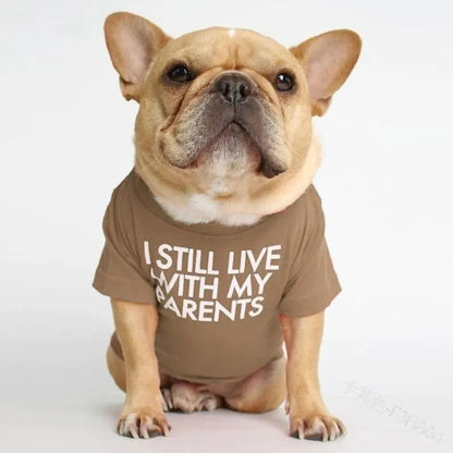 French Bulldog sitting in the khaki I Still Live With My Parents dog shirt