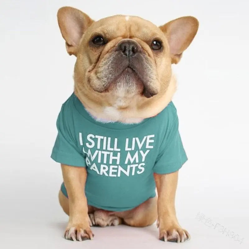 French Bulldog sitting in the lake blue I Still Live With My Parents dog shirt with white slogan print