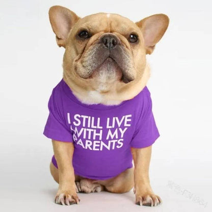 French Bulldog sitting in the purple I Still Live With My Parents dog shirt