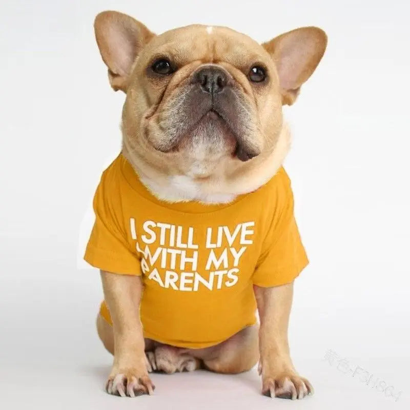 French Bulldog sitting in the yellow I Still Live With My Parents dog shirt