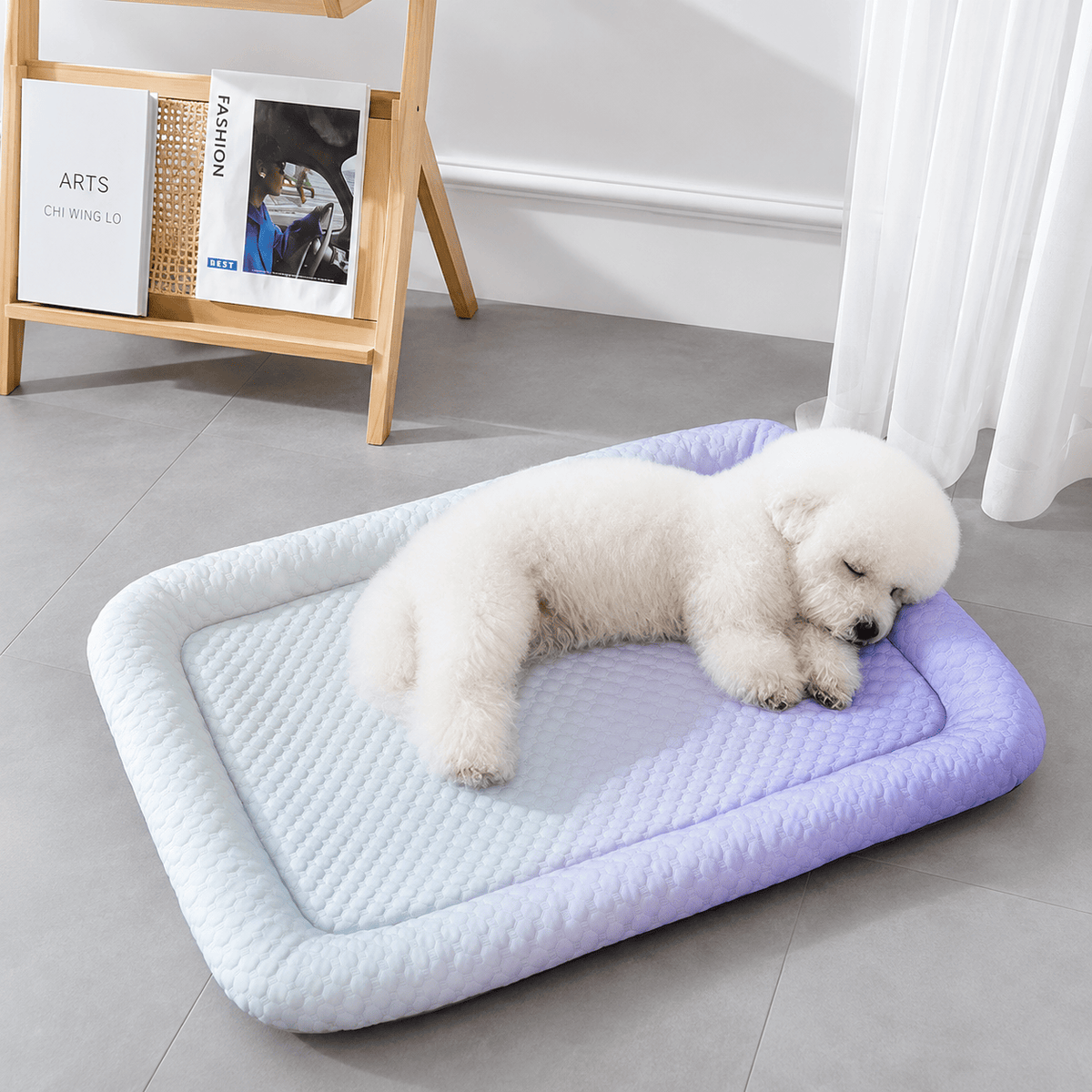 Bichon asleep on the gradient blue ice silk cooling mat with its raised bolster edge, on a tiled floor.