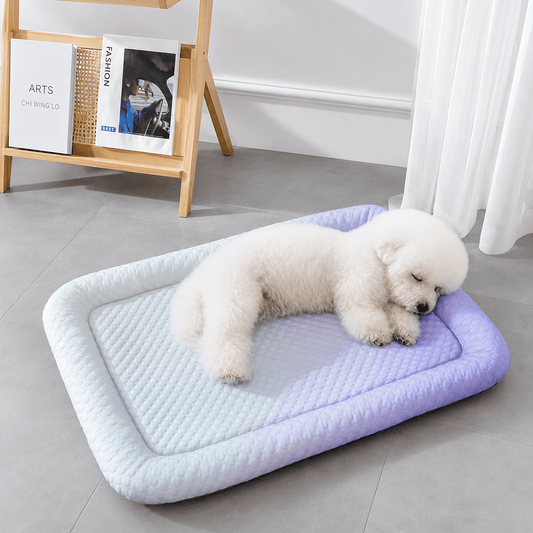 Bichon asleep on the gradient blue ice silk cooling mat with its raised bolster edge, on a tiled floor.