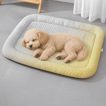 Toy poodle curled up on the gradient yellow ice silk cooling mat.