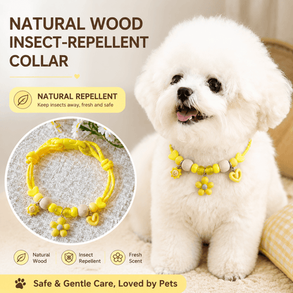 White Bichon wearing the yellow insect repellent collar, labeled natural wood, insect repellent and fresh scent.