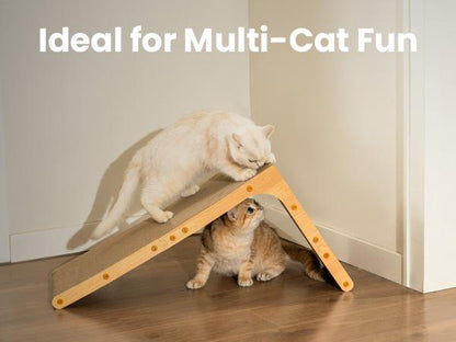Two cats playing with the Noblias L shaped cat scratcher folded into a tent, one on top and one underneath.