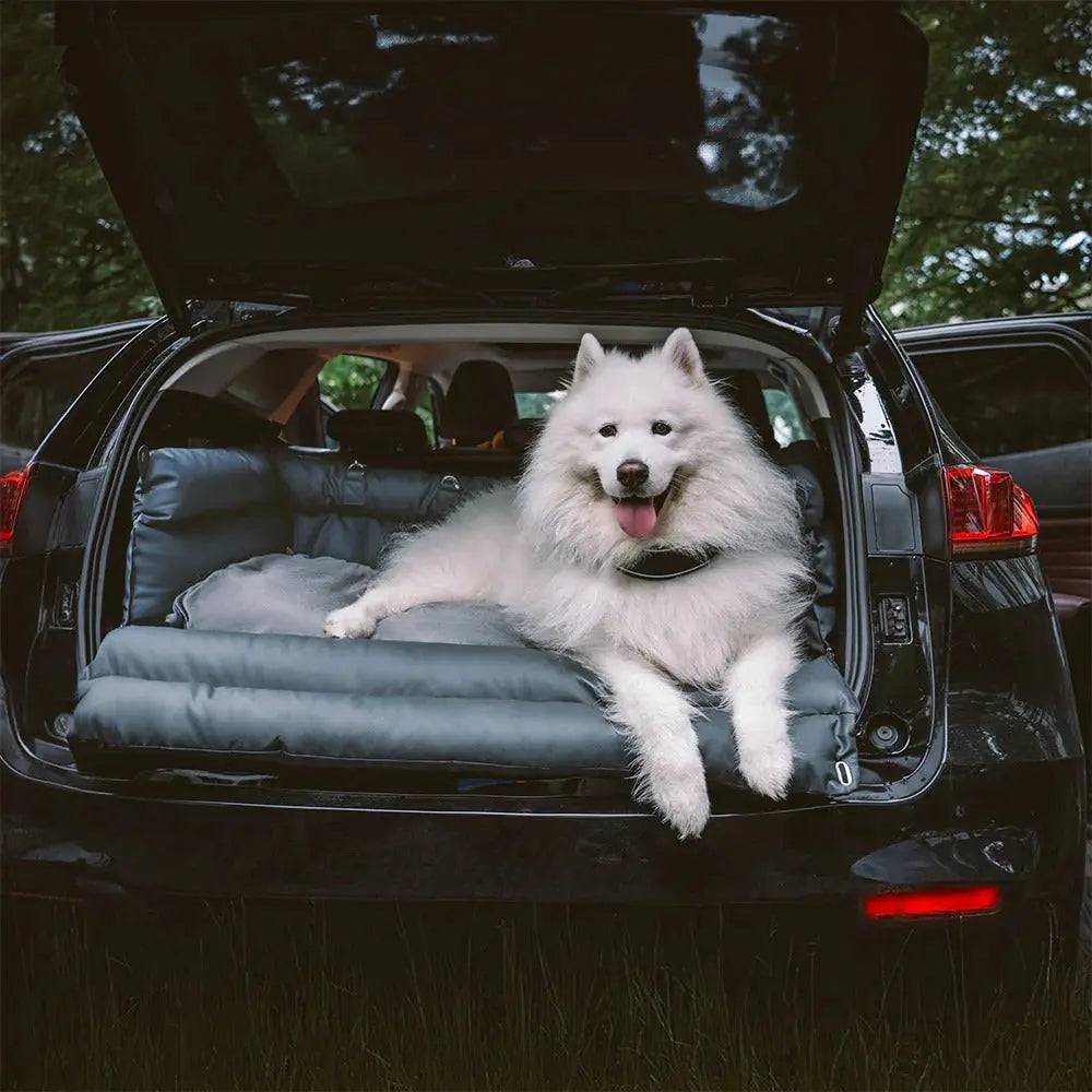A samoyed in the abyss blue Noblias large dog car seat bed in the open boot of an estate car.