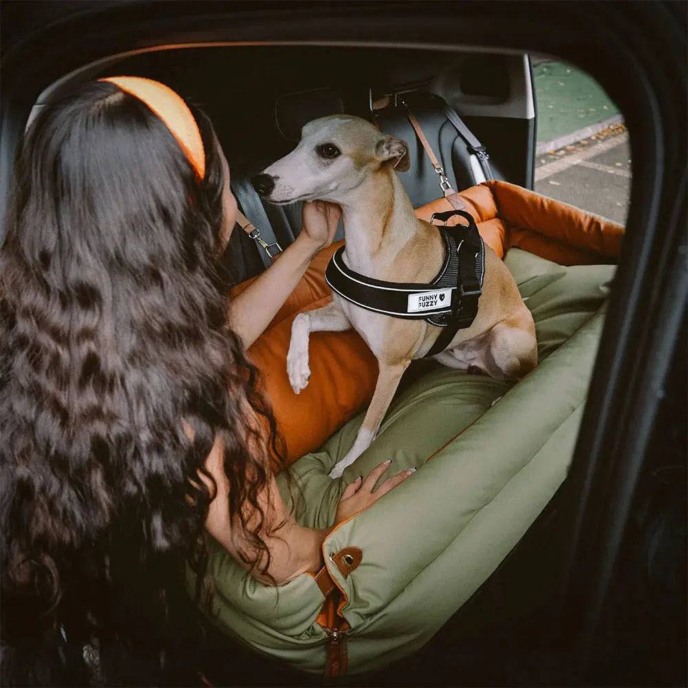 An owner leaning into the car to greet a samoyed sitting in the Noblias large dog car seat bed.