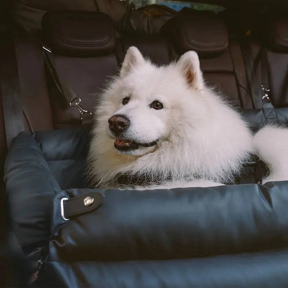 A samoyed resting its head on the wall of the black Noblias large dog car seat bed and looking out of the window.