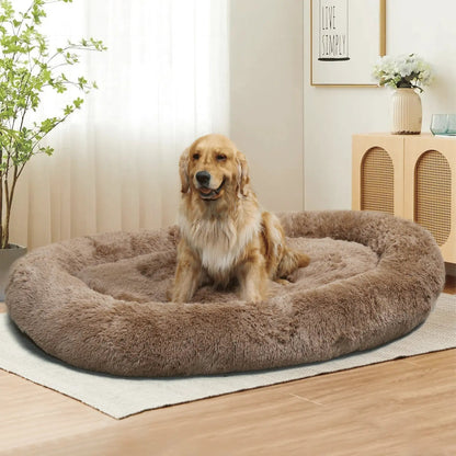 Khaki Noblias large plush dog bed in a living room with a Golden Retriever lying in it, showing the real scale.