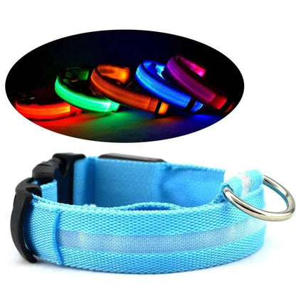 All five colors of the Noblias LED dog collar glowing in the dark, with a close up of the nylon strap, side release buckle and steel D-ring.