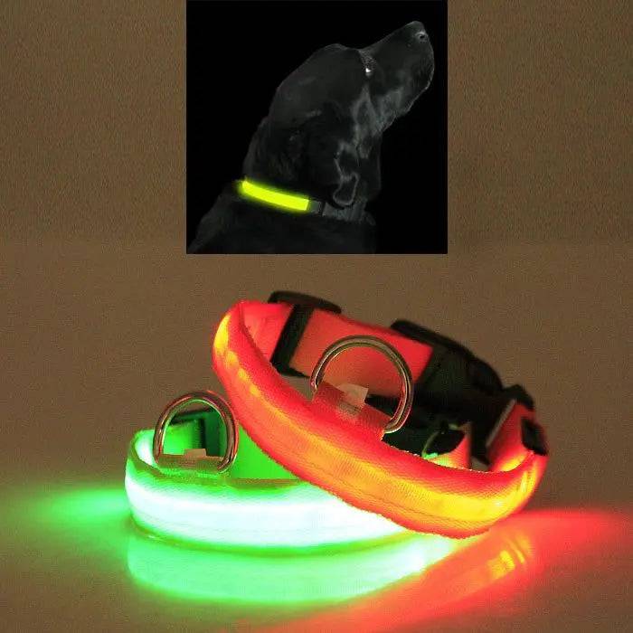 Green and orange Noblias LED dog collars glowing, with a large black dog wearing the green collar on a night walk.