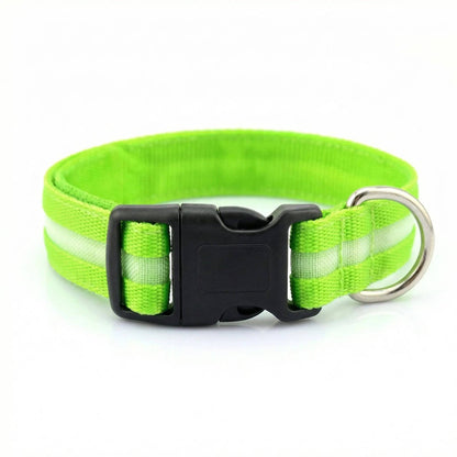 Green Noblias LED dog collar glowing in the dark.