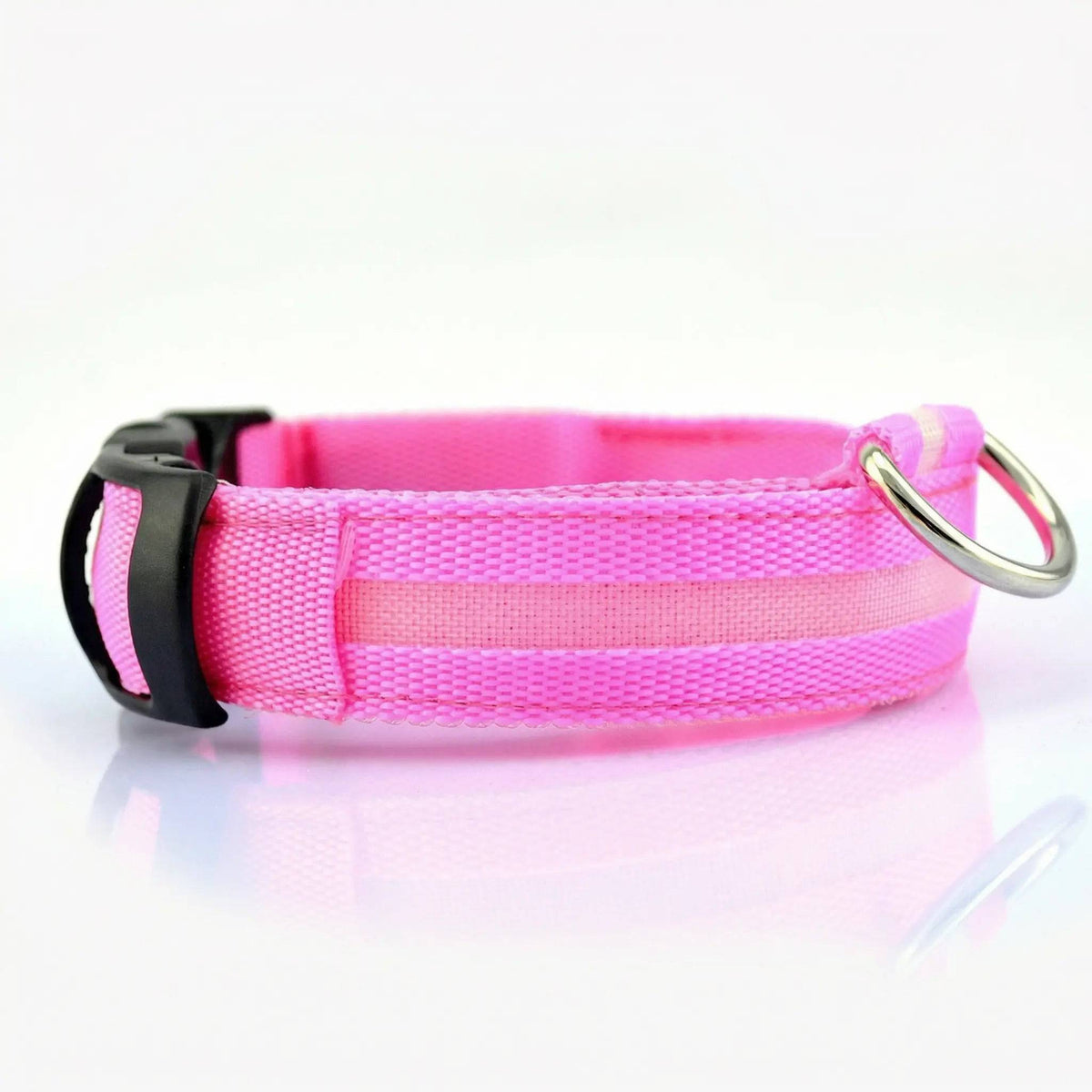 Hot pink Noblias LED dog collar glowing in the dark.