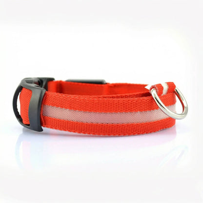 Red Noblias LED dog collar glowing in the dark.