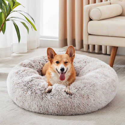 Light gray Noblias Cloud Calming Donut Dog and Cat Bed, X-small size with soft, plush fabric for pets' comfort.