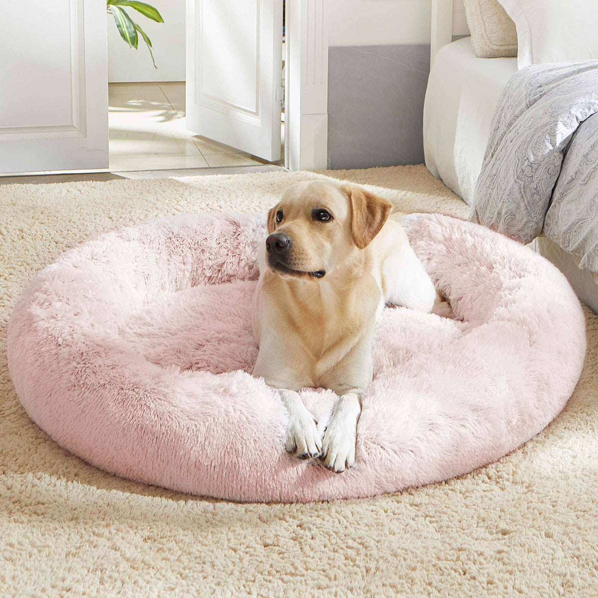 Light gray Noblias Cloud Calming Donut dog and cat bed with soft, plush, round design for cozy comfort.