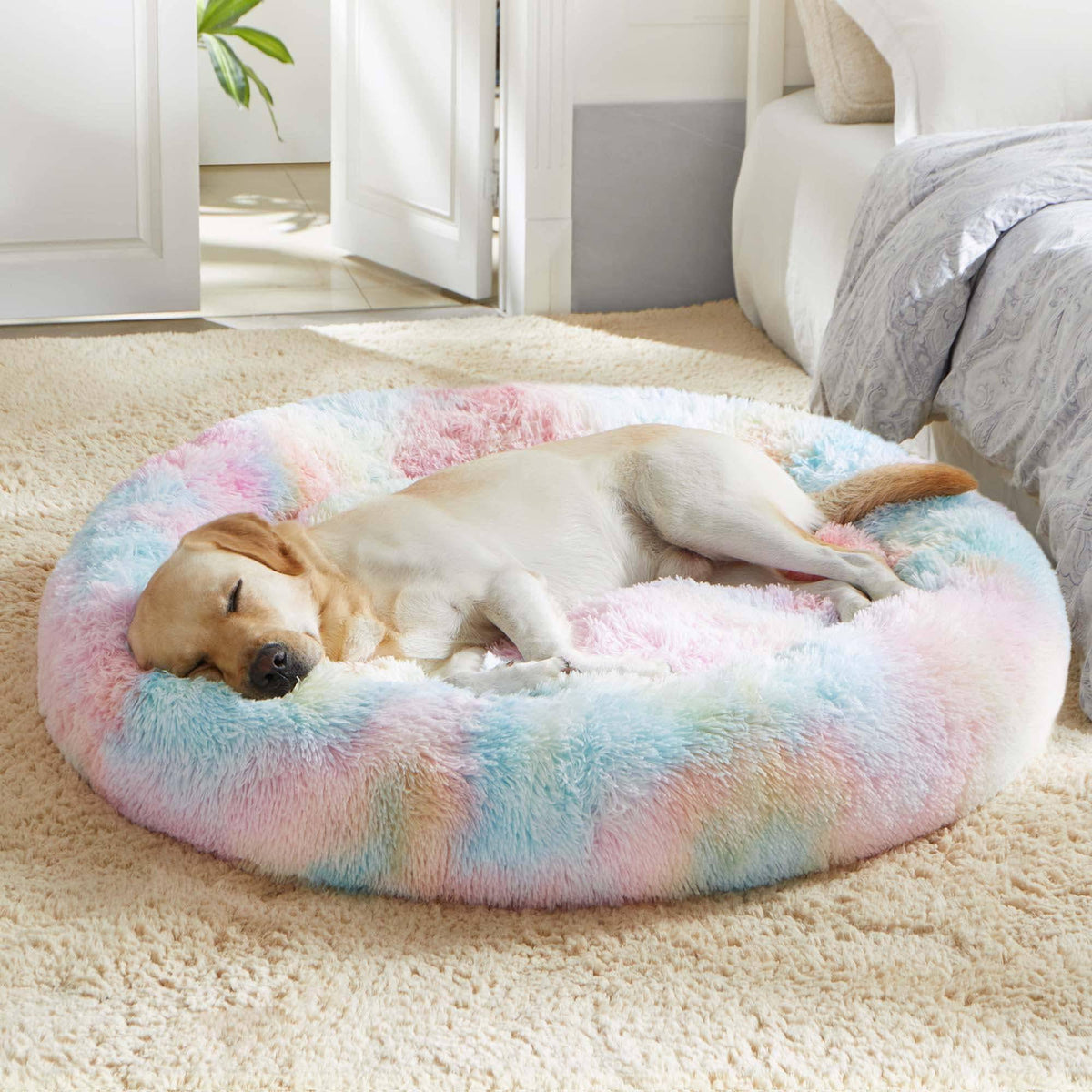 Light gray Noblias Cloud Calming Donut Bed for small dogs and cats, soft plush interior with raised edges for comfort.