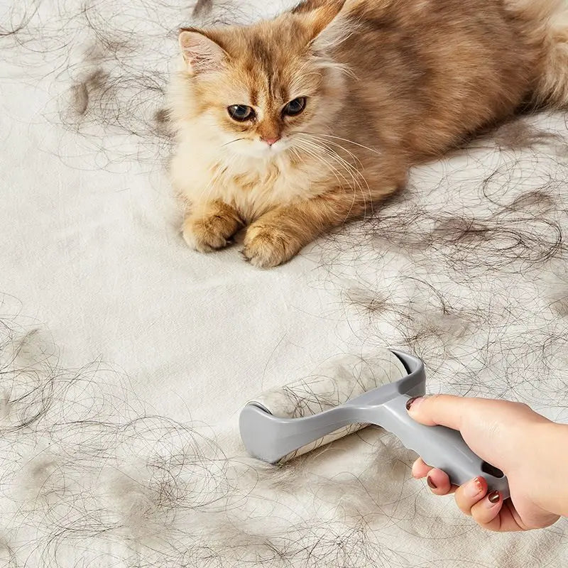 Gray lint roller for pet hair lifting fur off a blanket beside a fluffy orange cat.
