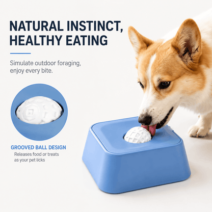 Shiba licking the liquid slow feeder bowl with a close up of the grooved ball that releases food as the pet licks.