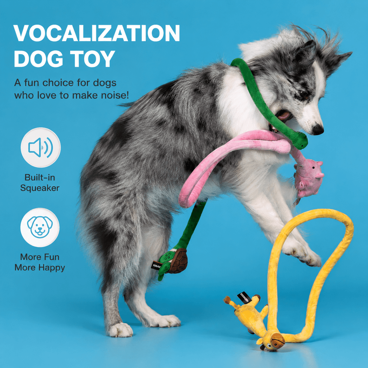 Blue merle Collie playing with the long plush squeaky dog toys, with a built in squeaker callout.