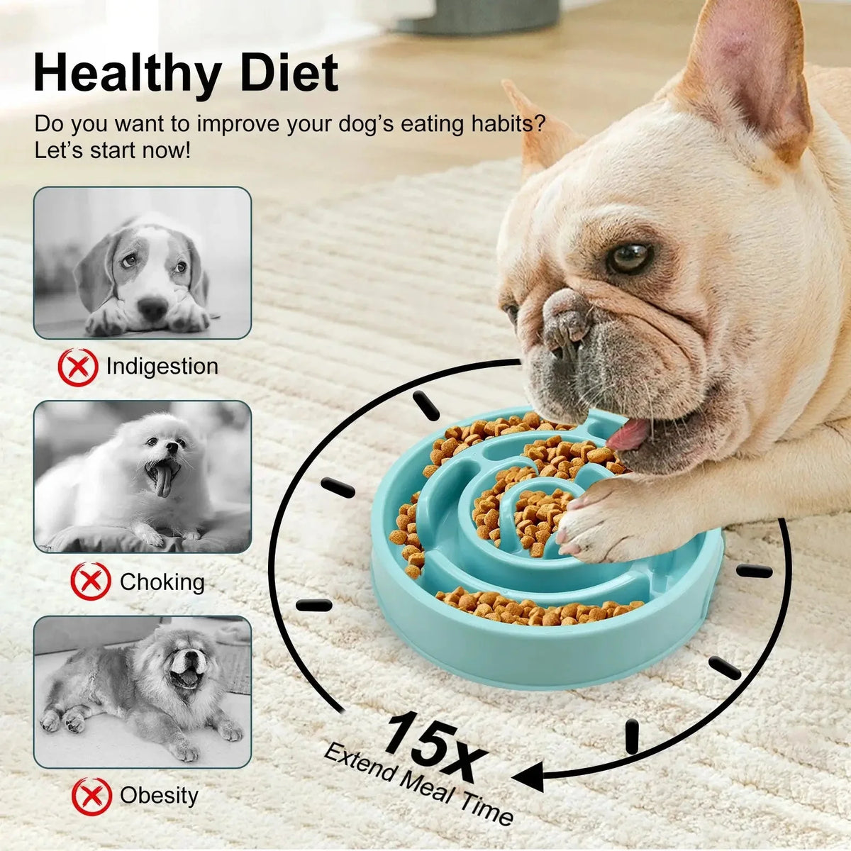 French bulldog eating kibble from the blue maze slow feeder dog bowl.
