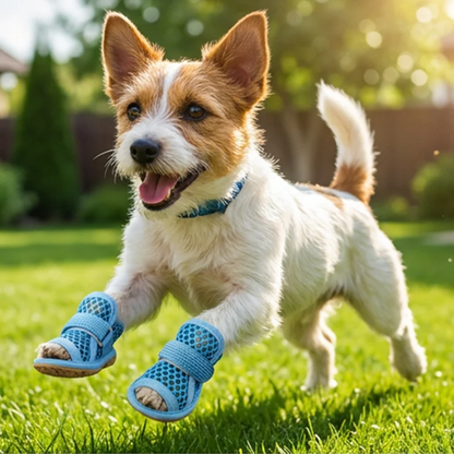 Jack russell running on grass in blue Noblias mesh dog sandals.