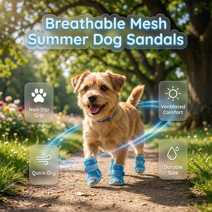 Terrier walking in blue Noblias mesh dog sandals, labeled non-slip grip, ventilated comfort, quick dry and durable sole.