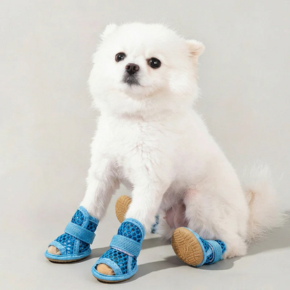 Pomeranian sitting in blue Noblias mesh dog sandals on all four paws.