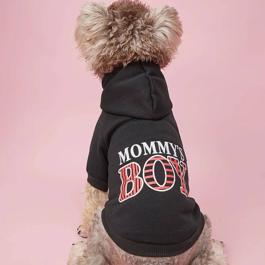 Small curly haired dog wearing the black Noblias Mommy's Boy fleece dog hoodie, back view showing the striped block lettering.