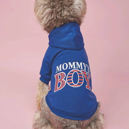 Small curly haired dog in the royal blue Noblias Mommy's Boy fleece dog hoodie, back view with the red and white striped print.