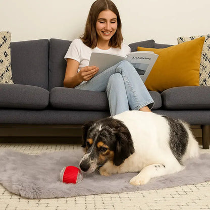 Woman reading on a sofa while a collie lies on a rug with the red motion activated rolling ball toy.