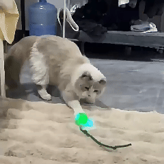 Animation of a dog on a bed pawing the green motion activated rolling ball toy by its rope tail.