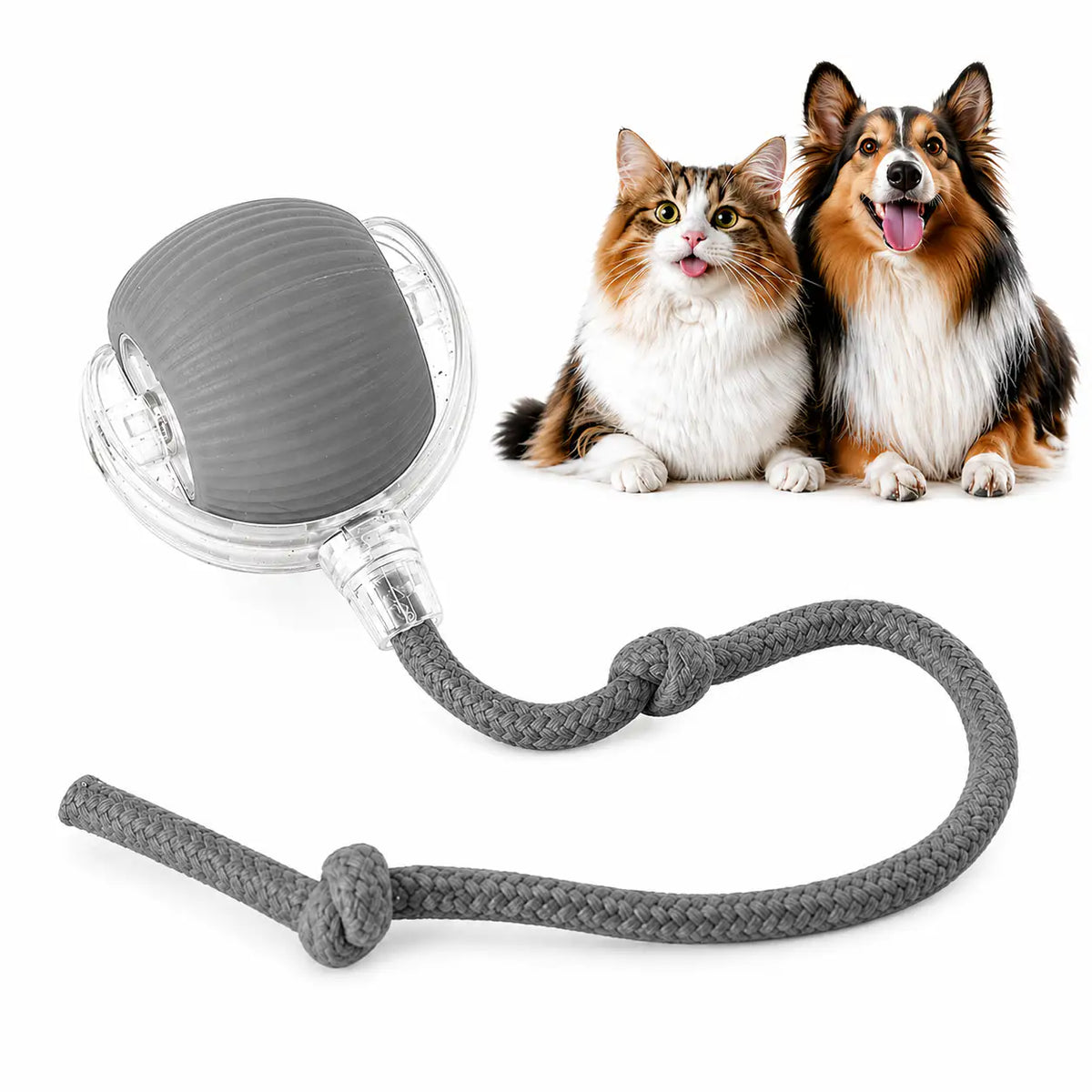 Gray motion activated rolling ball toy in its clear shell with a gray rope tail, beside a cat and a collie.