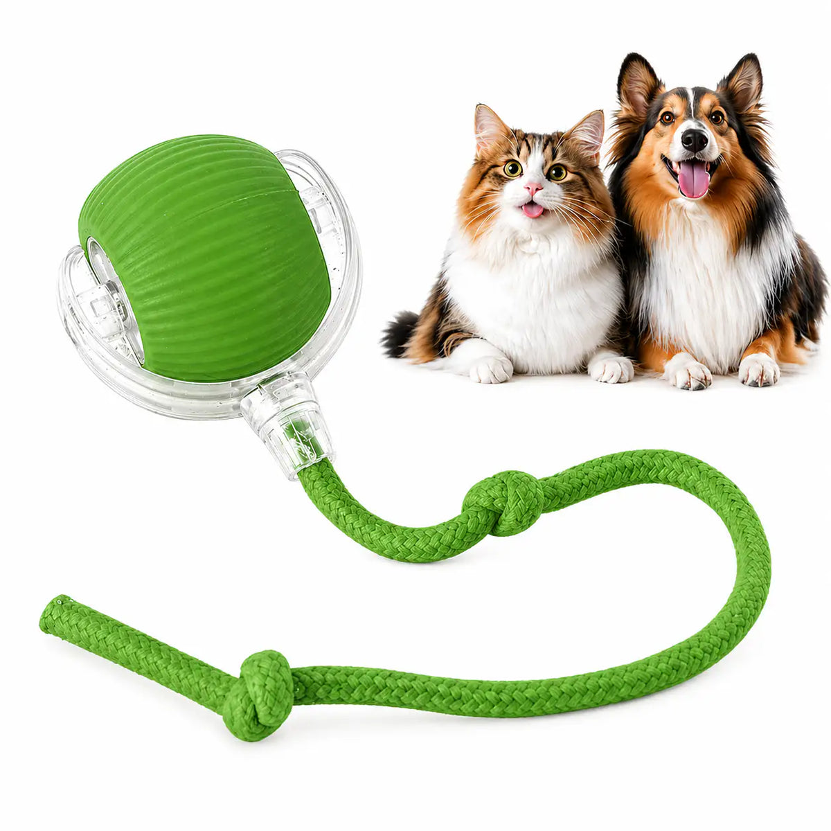 Green motion activated rolling ball toy in its clear shell with a green rope tail, beside a cat and a collie.