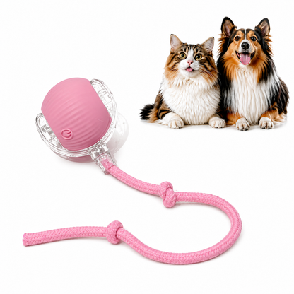 Pink motion activated rolling ball toy in its clear shell with a pink rope tail, beside a cat and a collie.