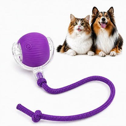 Purple motion activated rolling ball toy in its clear shell with a purple rope tail, beside a cat and a collie.