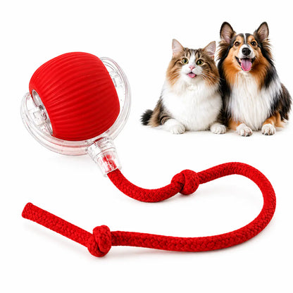 Red motion activated rolling ball toy in its clear shell with a red rope tail, beside a cat and a collie.