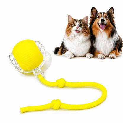 Yellow motion activated rolling ball toy in its clear shell with a yellow rope tail, beside a cat and a collie.