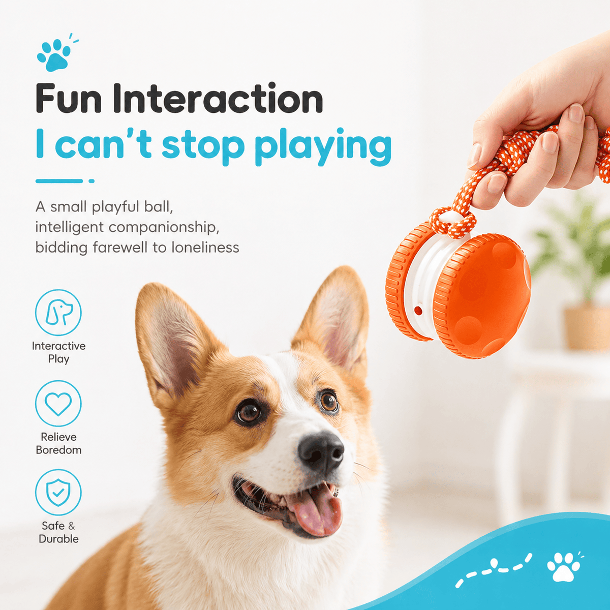 Hand holding the ball by its rope next to a happy Corgi, with interactive play, relieve boredom and safe and durable icons