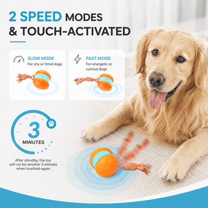 Slow mode for shy or timid dogs and fast mode for energetic dogs, with the touch-activated timed play session explained beside a Golden Retriever