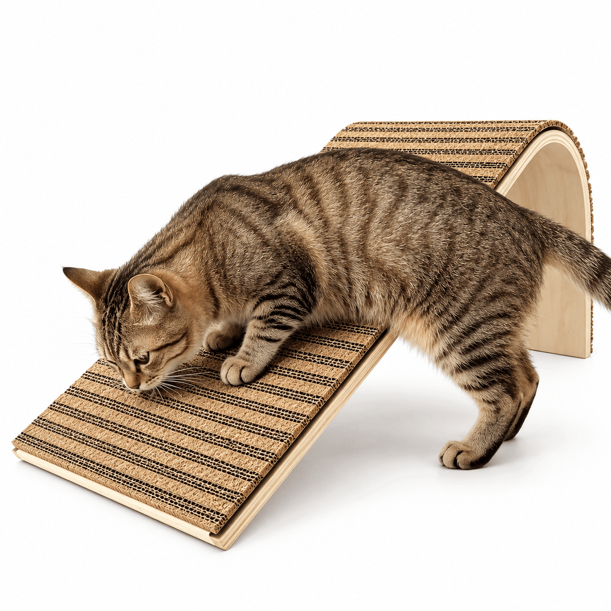 A tabby cat scratching on the natural cork cat scratcher ramp with its curved wooden base.