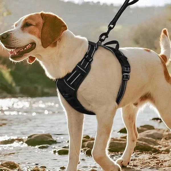 Noblias no-pull dog harness with front clip, adjustable fit, reflective safety vest, and handle for secure outdoor walks.