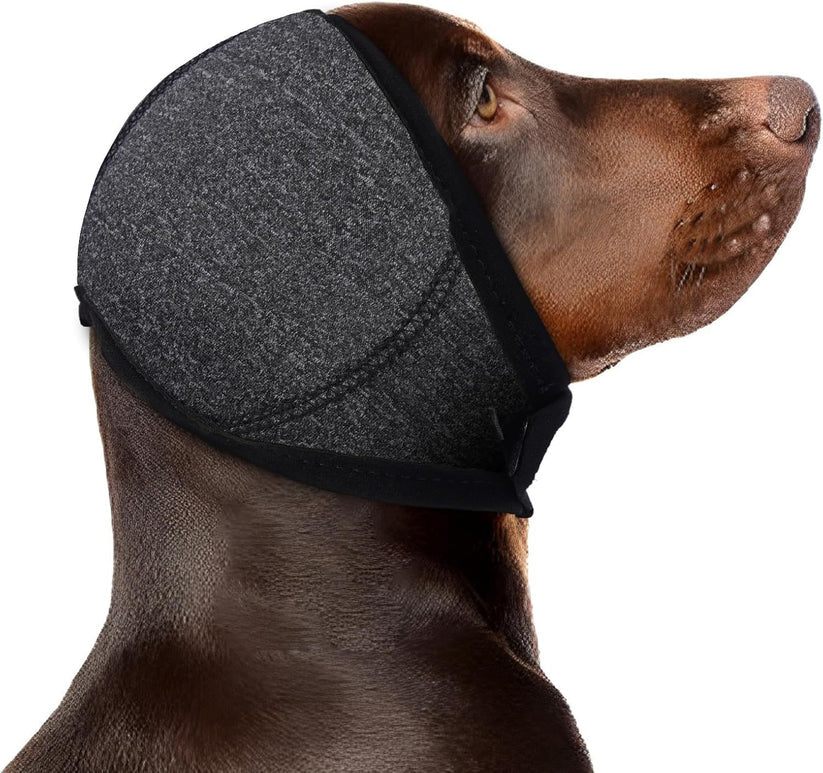 Side view of a brown dog wearing the gray neoprene ear muffs with the strap under the chin