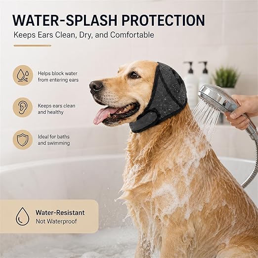 Golden Retriever being showered in the bath with the ear muffs on, labeled water splash protection that keeps ears clean and dry