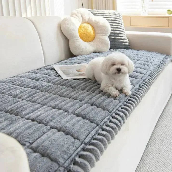 Maltese lying on the gray ribbed plush couch cover on a cream sofa.
